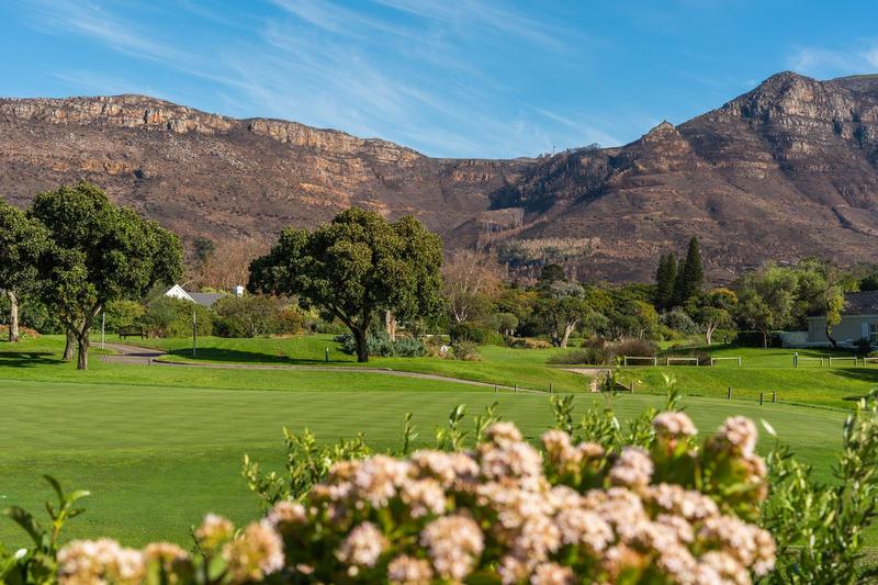 4 Bedroom Property for Sale in Steenberg Estate Western Cape